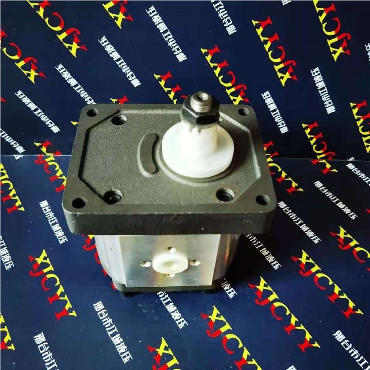 Fiat Tractor Pump 569307 5120971