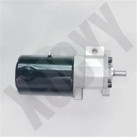 Hydraulic Gear Pump 1691156M93 Used For Massey Ferguson Tractor