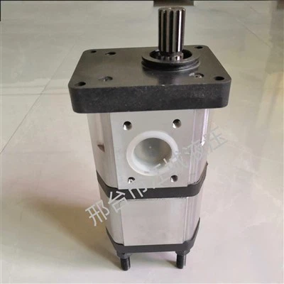 Hydraulic Gear Pump 4212880 4212879 Used For Landini Tractor