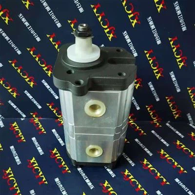 Hydraulic Gear Pump 3661228M91,0510365315 Used For Landini Tractor